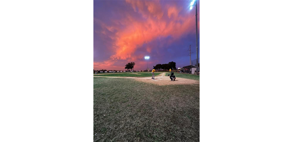 For the LOVE of Baseball!